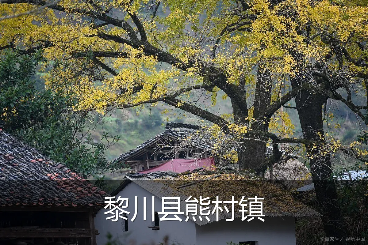 黎川县熊村镇
