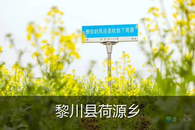 黎川县荷源乡